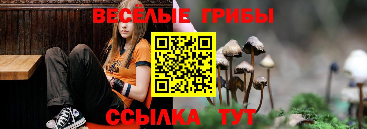 Галлюциногенные грибы MAGIC MUSHROOMS Артём